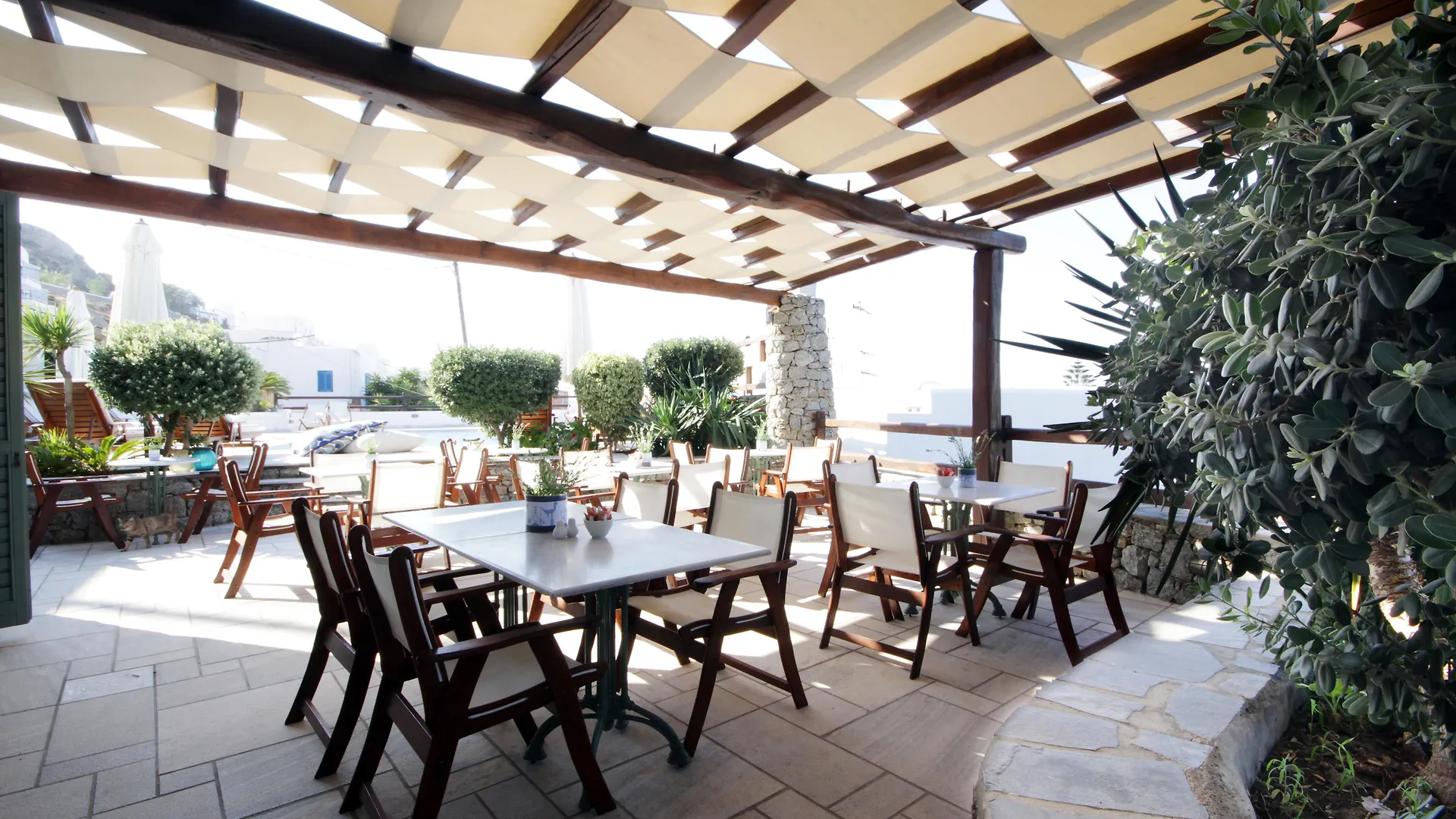 Pelican Bay Hotel Platísz Jalósz